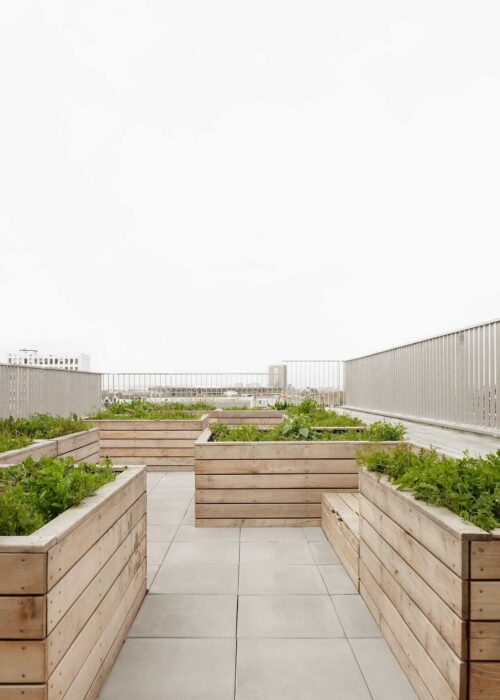 Studio razavi architecture 93 Petit Schnepp Renou 10 jpgbak