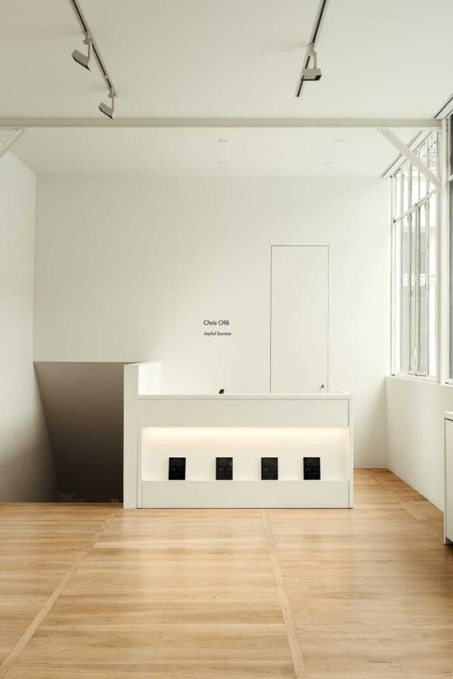 1 THUMB David Zwirner Paris 2024 Photo Yohann Fontaine 7