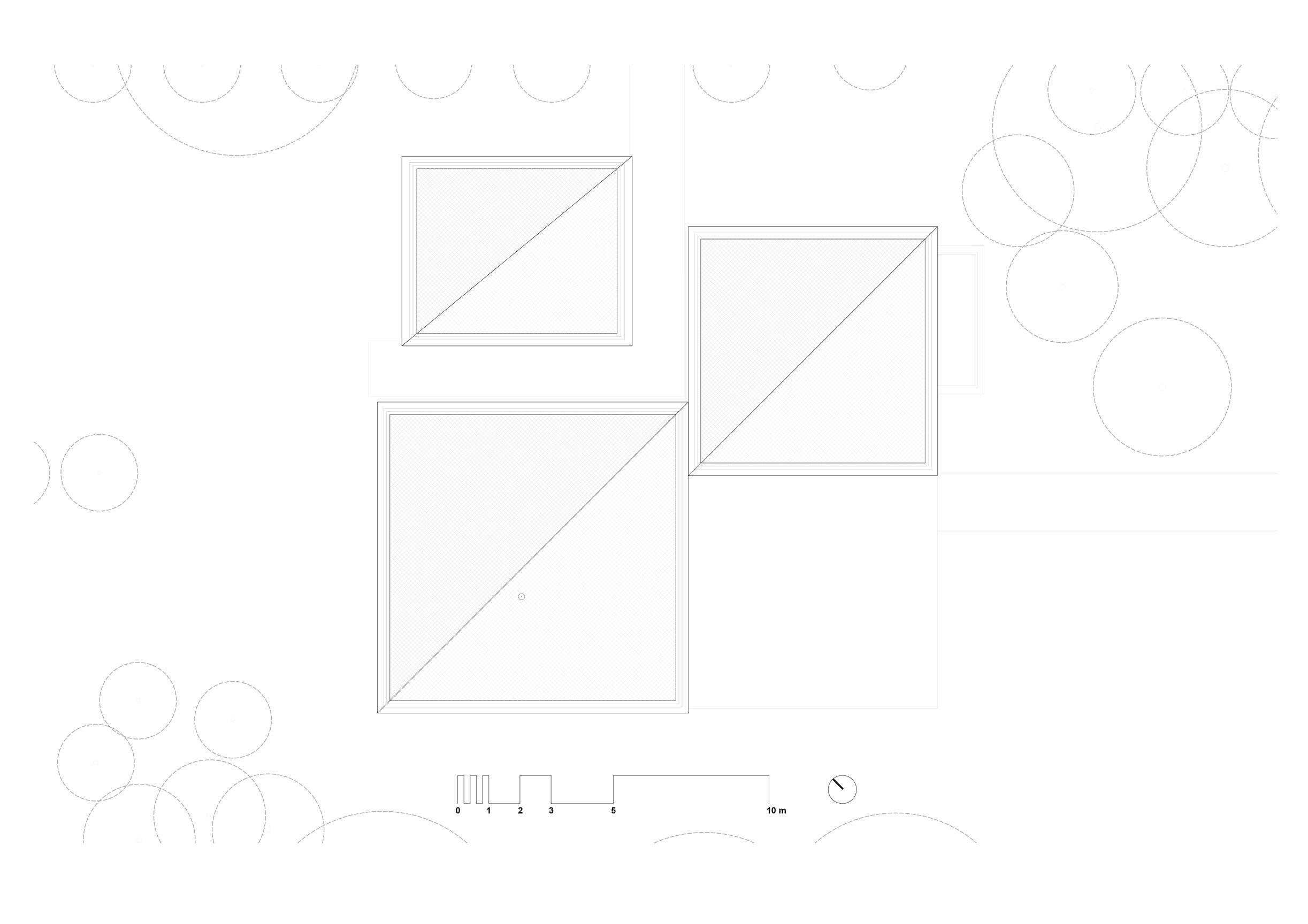 Forest House Roof plan