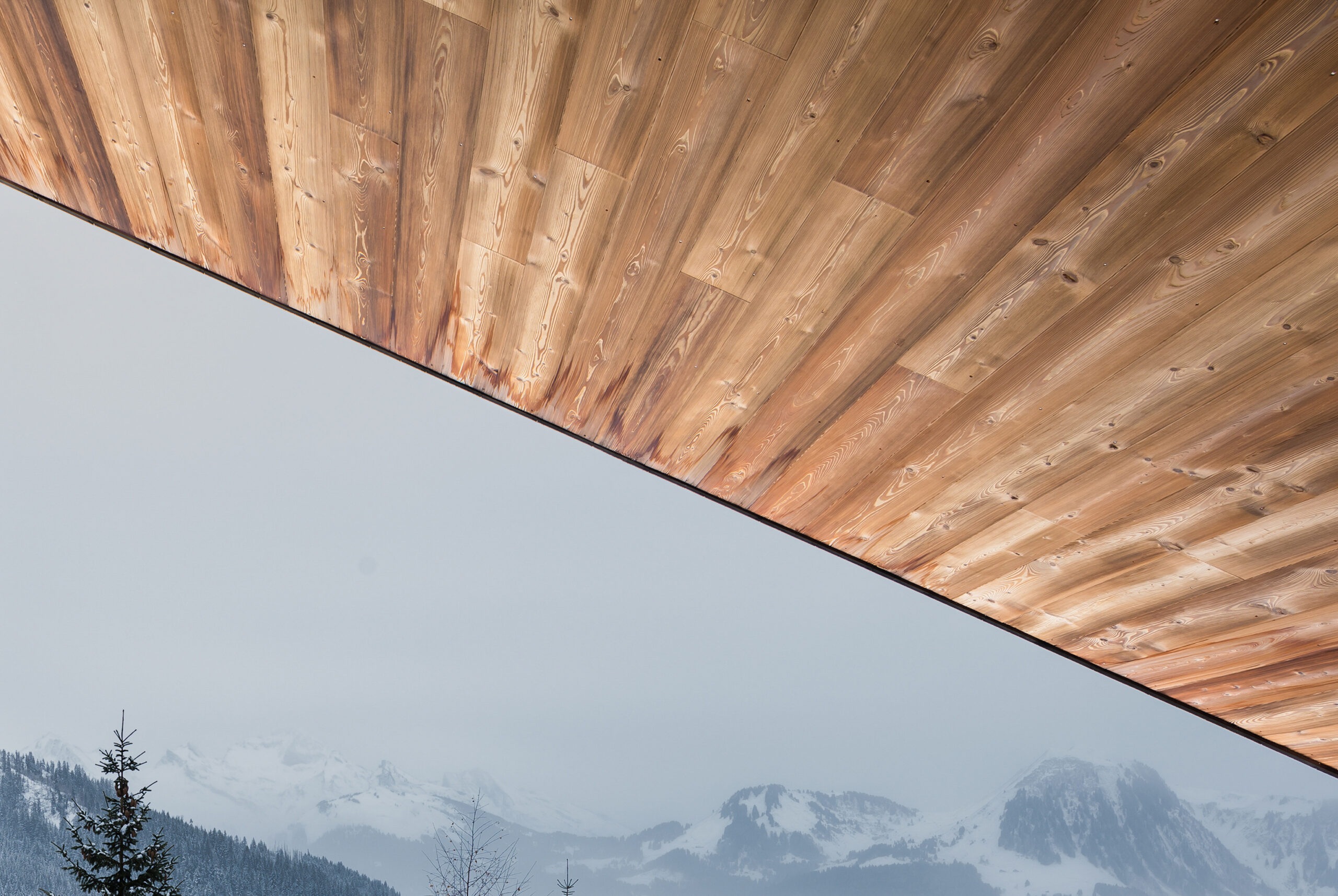 MOUNTAIN HOUSE Studio Razavi