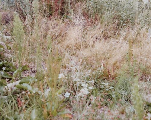 Studio razavi architecture Mountain House II 1