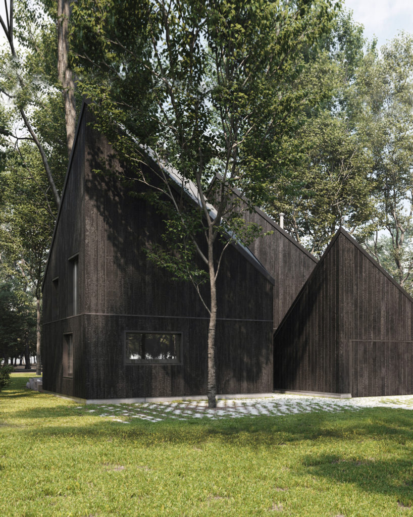 Forest House - studio razavi architecture